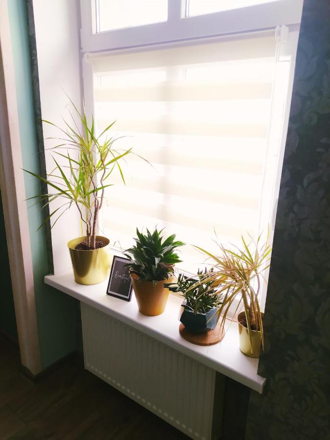 Apartament Santo Bartolomeo Stary Toruń Екстериор снимка